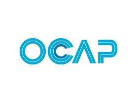 Ocap 01211114 - FUELLE DIRECCION